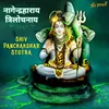 About shiv panchakshar stotra Song